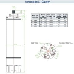 İmpo - 10''  Dalgıç Motoru - 250 HP (185 Kw) - Yıldız Üçgen