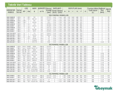 Baymak 2KVC 85/120 T Çift Pompalı Hidrofor - 18 Kat 80 Daire - 380V