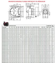 Grundfos Magna1 32-120 F Flanşlı FK Sir.Pom.-DN32