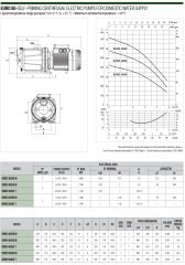 Dab Euro 50/50 M Y. Kademeli Pompa 1,36 HP
