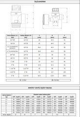 Case Emniyet Ventili 1¼'' - 4 Bar (07-3241)