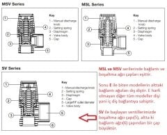 Watts Emniyet Ventili ¾’’- 5 Bar- SVW-217205