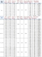 Watts Emniyet Ventili 1''- 5 Bar - SVW-218305