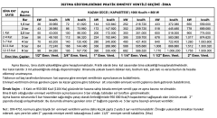Ara Ayarlanabilir Yaylı Emniyet Ventili S105-  1½'' 