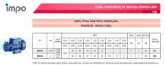 İrka QB60 - 0,5 HP - 2 kat/2 daire - 24 Lt. Küreli Hidrofor - İmpo Pompalı