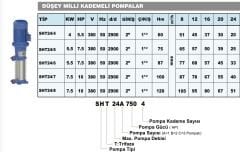 Sumak SHT24/4 Dikey Pompa 5,5Hp - 60 mss