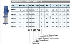 Sumak SHT24/7 Dikey Pompa 10Hp - 100 mss