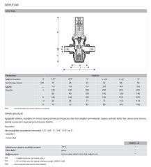 Honeywell D06FN-3/4B Düşük Basınç Düşürücü - 0,5-2 Bar - 3/4''