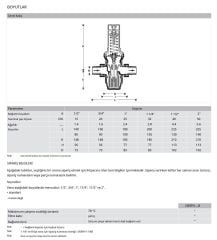 Honeywell D06FN-2B Düşük Basınç Düşürücü - 0,5-2 Bar - 2''