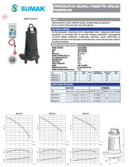 Sumak SBRT 50/2-P Özel Parçalayıcılı Dalgıç 5,5 HP