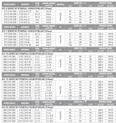 Etna 2KO  7/8-22  İki Pompalı Hidrofor 2x3HP - 12Kat/60 Daire