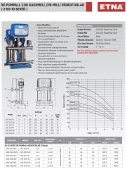 Etna 2KO  10/9-40  İki Pompalı Hidrofor 2x5,5HP - 20Kat/70 Daire