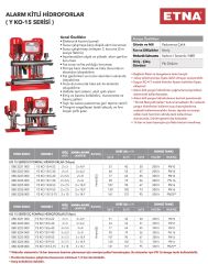 Etna 2KO  15/7-40  Yangın Hidroforu 2x5,5HP - 90 mss-12 m3/h - Jokey Pompalı