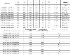 Mars Mrs 32/8-180 Maxi Fre. Kon. Sir. Pompası - 1¼'' - 120W