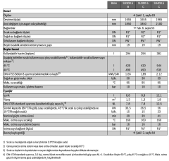 Buderus 300 Lt  Boyler - SU 300 / 5W
