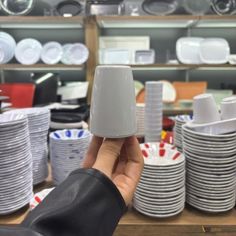 Tek Tuzluk Toptan 10 Adet melamin