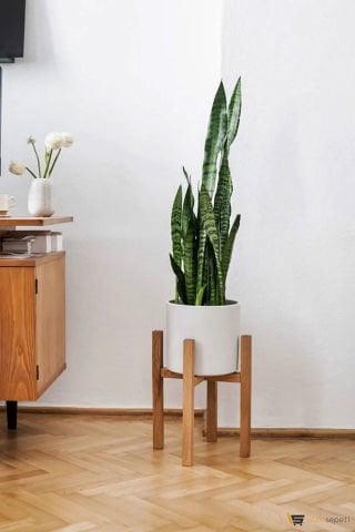 AHŞAPEVİM Ahşap Çiçeklik Saksı Altlığı Ağaçtan Mobilya Saksı Ayaklığı Çiçeklik Standı 30 Cm