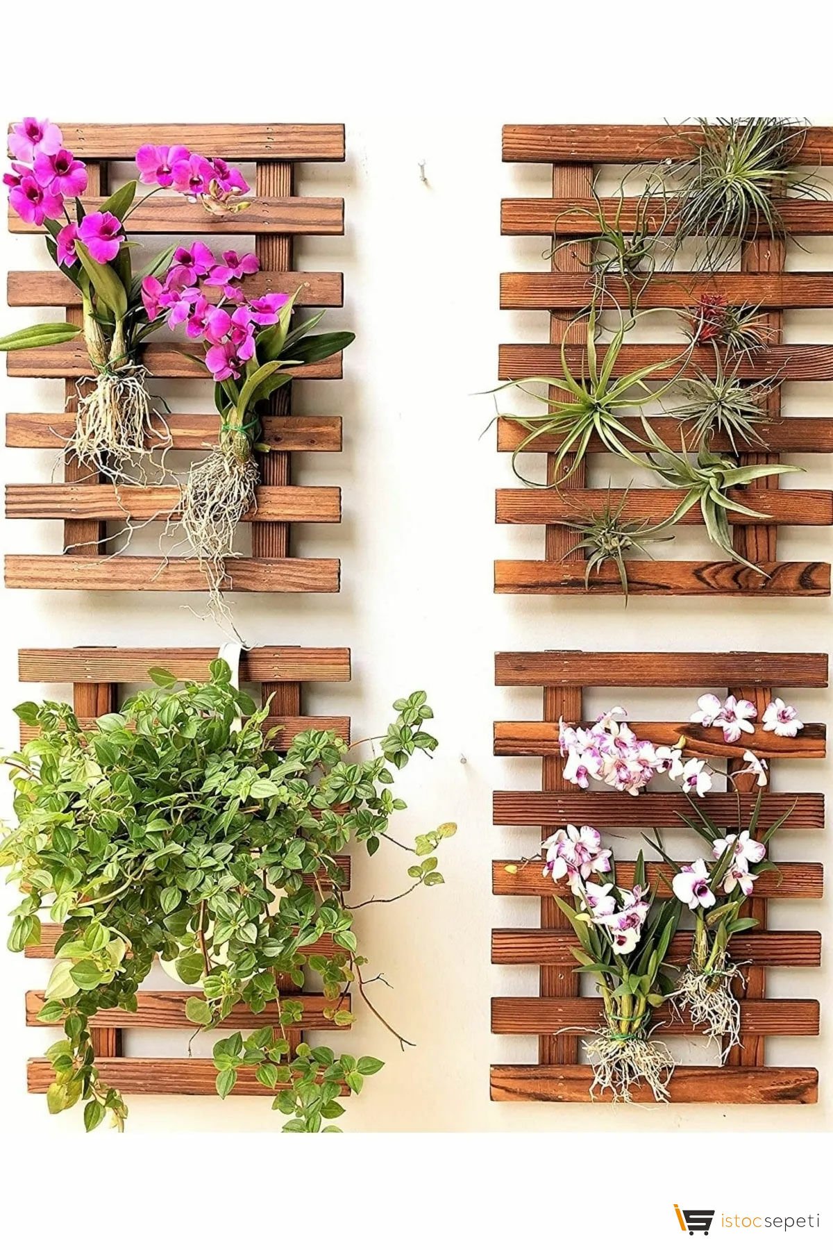 AHŞAPEVİM Ceviz Rengi Ahşap Çiçeklik Duvar Tipi % Dekoratif Saksılık Çiçek Stantı 4'lü Merdiven Ahşap ÇiÇeklik