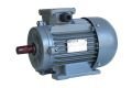 GAMAK 4 kw (5.5 HP) 3000 D/D (AGM2E 112 M 2a) 380 V Trifaze IE2 Elektrik Motoru - Alüminyum