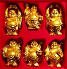 6'lı Altın Renkli Buda Biblosu