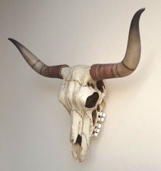 Dekoratif Buffalo Kafası
