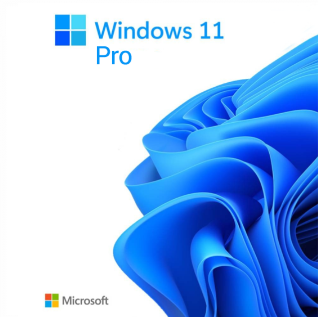 MICROSOFT WINDOWS 11 PRO 64BIT TURKCE OEM FQC-10556