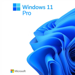 MICROSOFT WINDOWS 11 PRO 64BIT TURKCE OEM FQC-10556