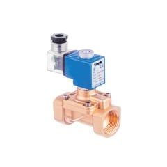 S2020 Serisi  Fark Basınçsız Buhar Solenoid Valfi
