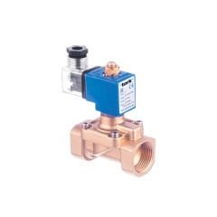 S2021 Serisi Fark Basınçsız Buhar Solenoid Valfi