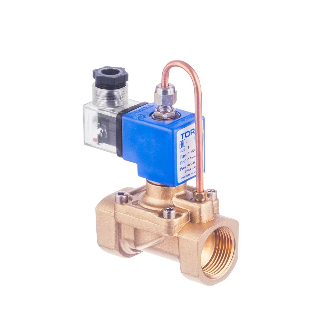 S2011 Serisi Pilot Kumandalı Buhar Solenoid Valfi