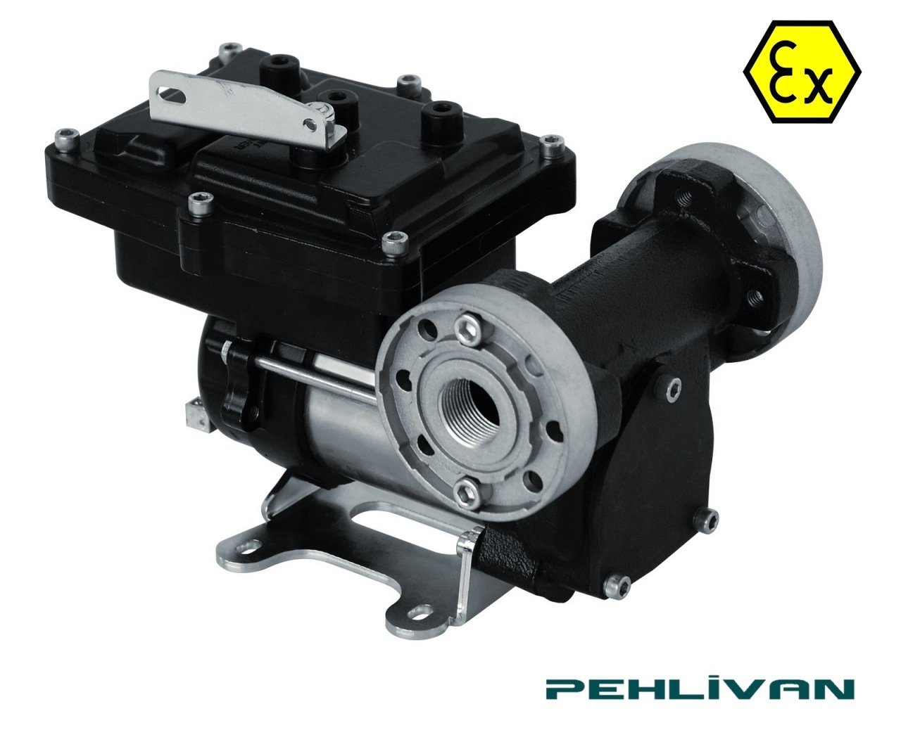 PIUSI EX50 Benzin Transfer Pompası 12v