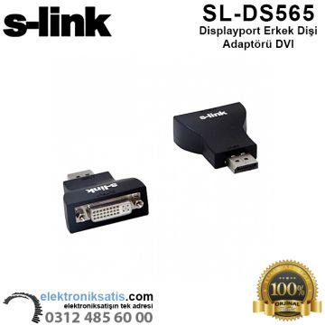 S-link SL-DS565 Displayport DVI  Erkek Dişi Adaptörü