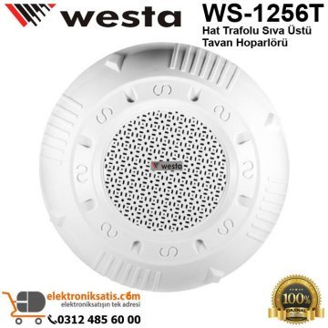 Westa WS-1256T Hat Trafolu Sıva Üstü Tavan Hoparlörü