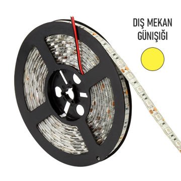 Dış Mekan Şerit Led Cata 12V Günışığı 5 Metre Paket CT4488