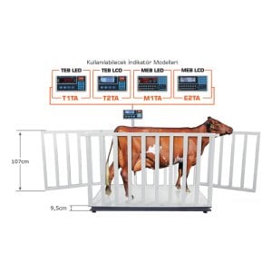 3000 Kg 110x200 Cm Onaylı Canlı Hayvan Tartım Baskülü