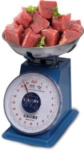 İbreli Mekanik Terazi 20KG 100 GR