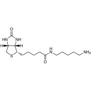 Biotin-C5-Amine >95.0%(HPLC) - CAS 115416-38-1