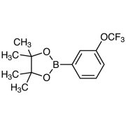 4,4,5,5-Tetramethyl-2-[3-(trifluoromethoxy)phenyl]-1,3,2-dioxaborolane >98.0%(GC)(T) - CAS 262376-31-8