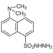 Dansyl Hydrazine [for HPLC Labeling] >97.0%(T) - CAS 33008-06-9