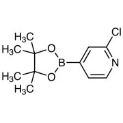 2-Chloro-4-(4,4,5,5-tetramethyl-1,3,2-dioxaborolan-2-yl)pyridine >98.0%(GC) - CAS 458532-84-8