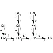 Nonasaccharide Glc4Xyl3Gal2 >75.0%(HPLC) - CAS 129865-06-1