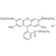 Rhodamine 6G  - CAS 989-38-8