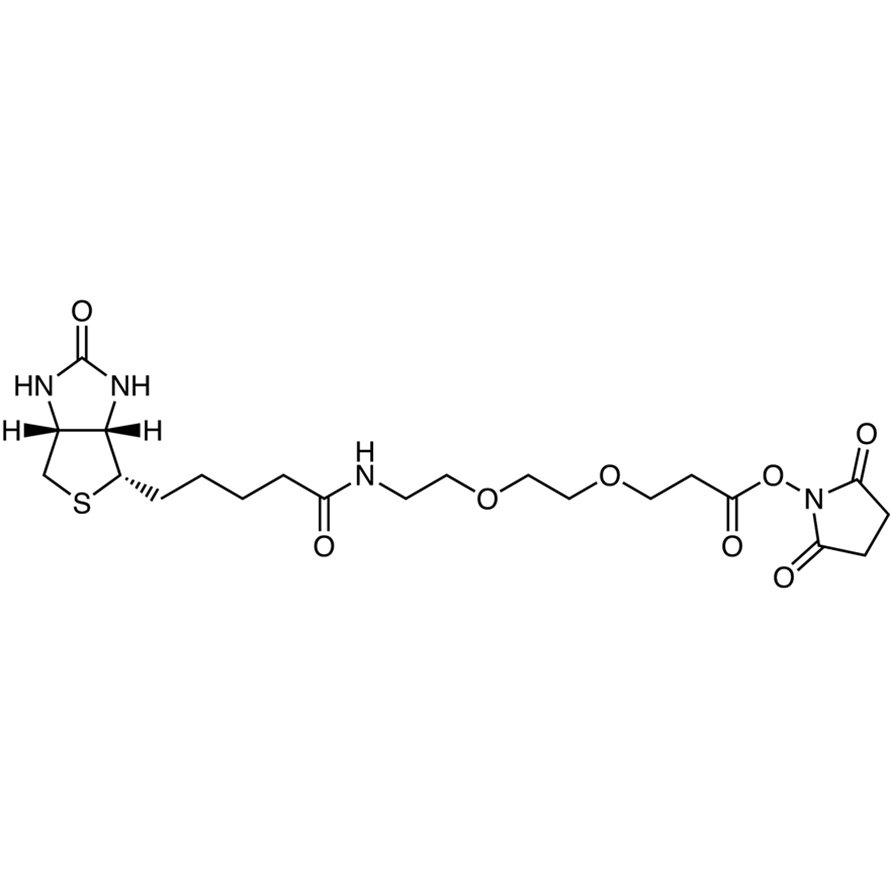 N-Succinimidyl 9-(Biotinamido)-4,7-dioxanonanoate  - CAS 596820-83-6