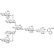 G0 2AB (500pmol/vial)  - CAS 959159-21-8