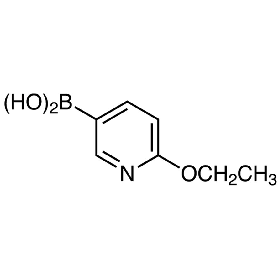 2-Ethoxypyridine-5-boronic Acid (contains varying amounts of Anhydride)  - CAS 612845-44-0