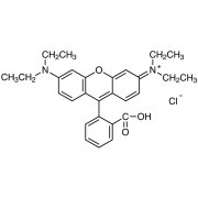 Rhodamine B [Ion association reagent for photometric and fluorimetric analysis] >98.0%(T) - CAS 81-88-9