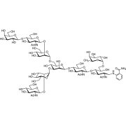 6-G1F 2AB (500pmol/vial) >95.0%(HPLC) - CAS 1107646-29-6