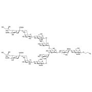 Disialylnonasaccharide-β-ethylazide  - CAS 1621001-68-0