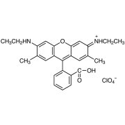 Rhodamine 19 Perchlorate >98.0%(HPLC)(N) - CAS 62669-66-3