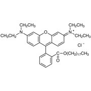 Octadecyl Rhodamine B Chloride  - CAS 65603-19-2